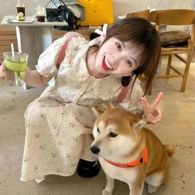 自由鸟